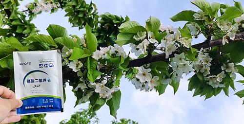 保花保果葉面肥，她就認(rèn)準(zhǔn)這個(gè)牌子！