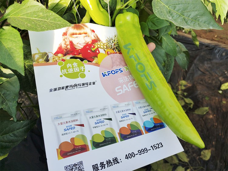 進(jìn)口水溶肥蔬菜上怎么用效果好？