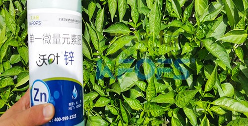 鋅肥是什么肥料？辣椒用有什么好處？