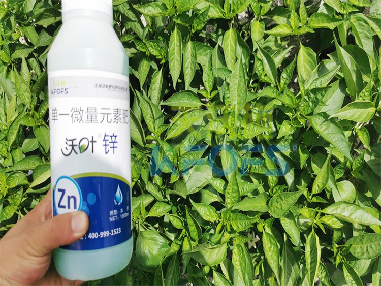 鋅肥是什么肥料？辣椒用有什么好處？