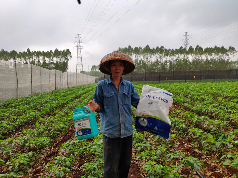 水溶肥-蔬菜用沃葉水溶肥.png