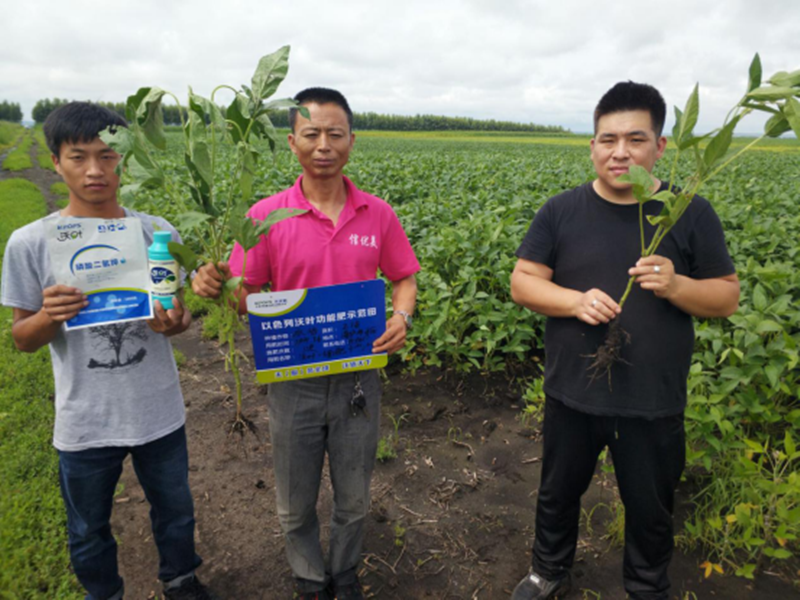 水溶肥-大豆使用沃葉水溶肥效果.png