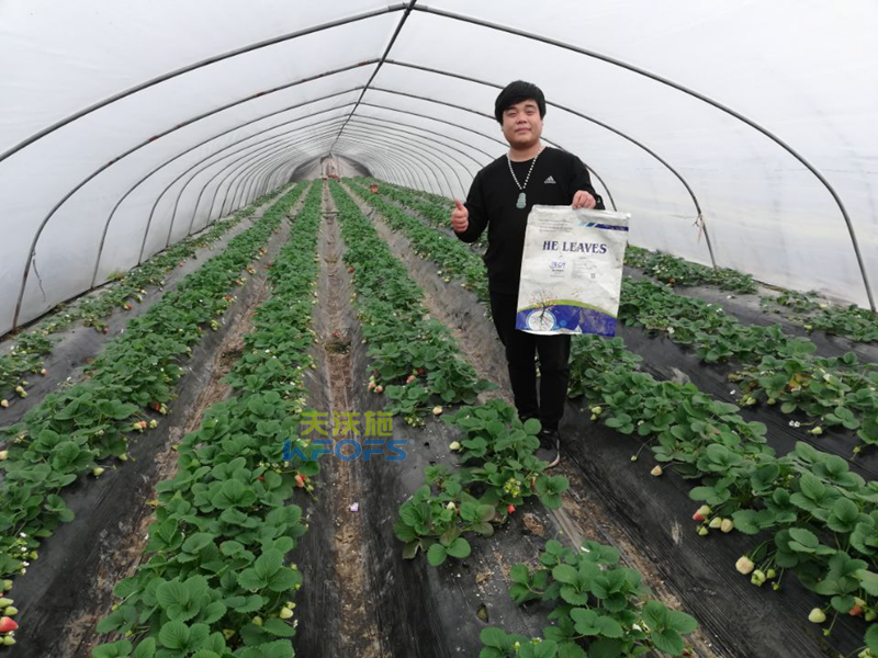 作物用肥，對食品安全的重要作用