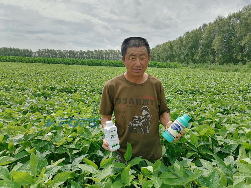 除草劑藥害，為什么安法戈可解？