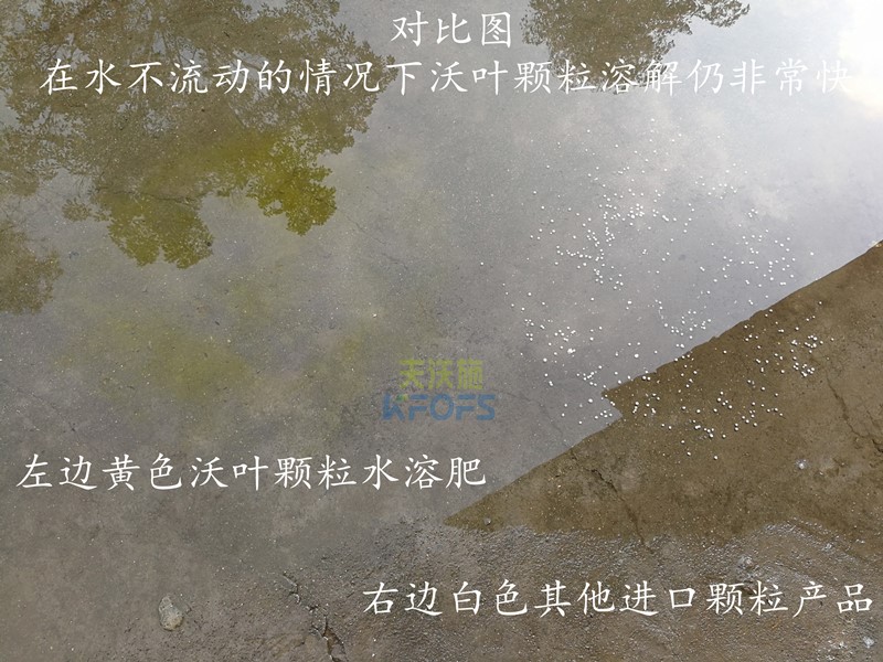 顆粒水溶肥哪個品牌好-沃葉顆粒水溶肥.jpg