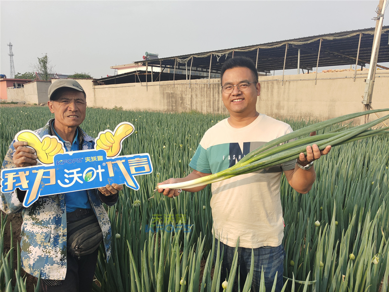 進(jìn)口水溶肥以色列夫沃施，讓更多人受益！