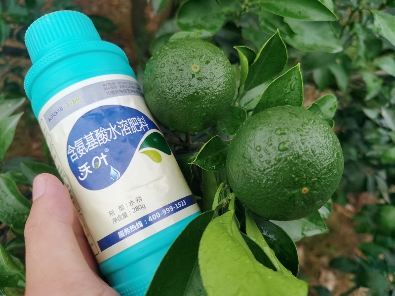 解密植物對(duì)氨基酸的吸收原理，夫沃施掌握氨基酸水溶肥核心科技