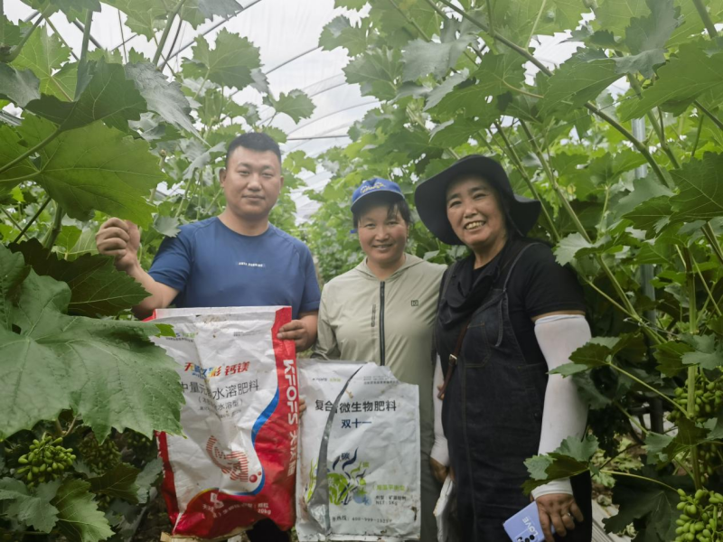 微生物肥料的了解及應用