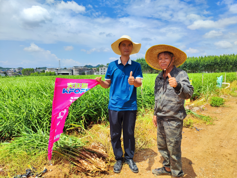 生根劑不能錯(cuò)過(guò)的3個(gè)時(shí)期，你知道嗎？