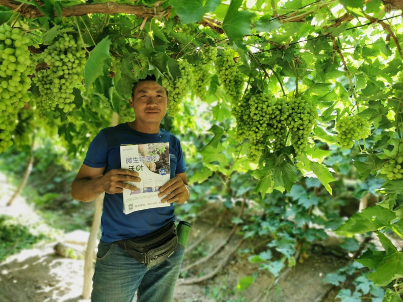 土壤板結(jié)的原因及解決辦法-沃葉微生物菌劑.png