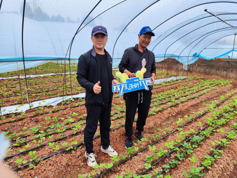 水溶肥-夫沃施功能水溶肥用戶見證1.png